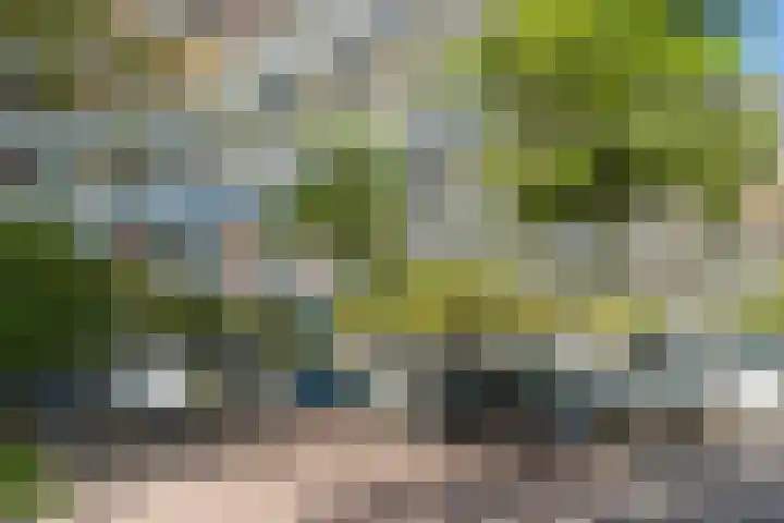 Zijldonk 53 Leiden thumbnail 30