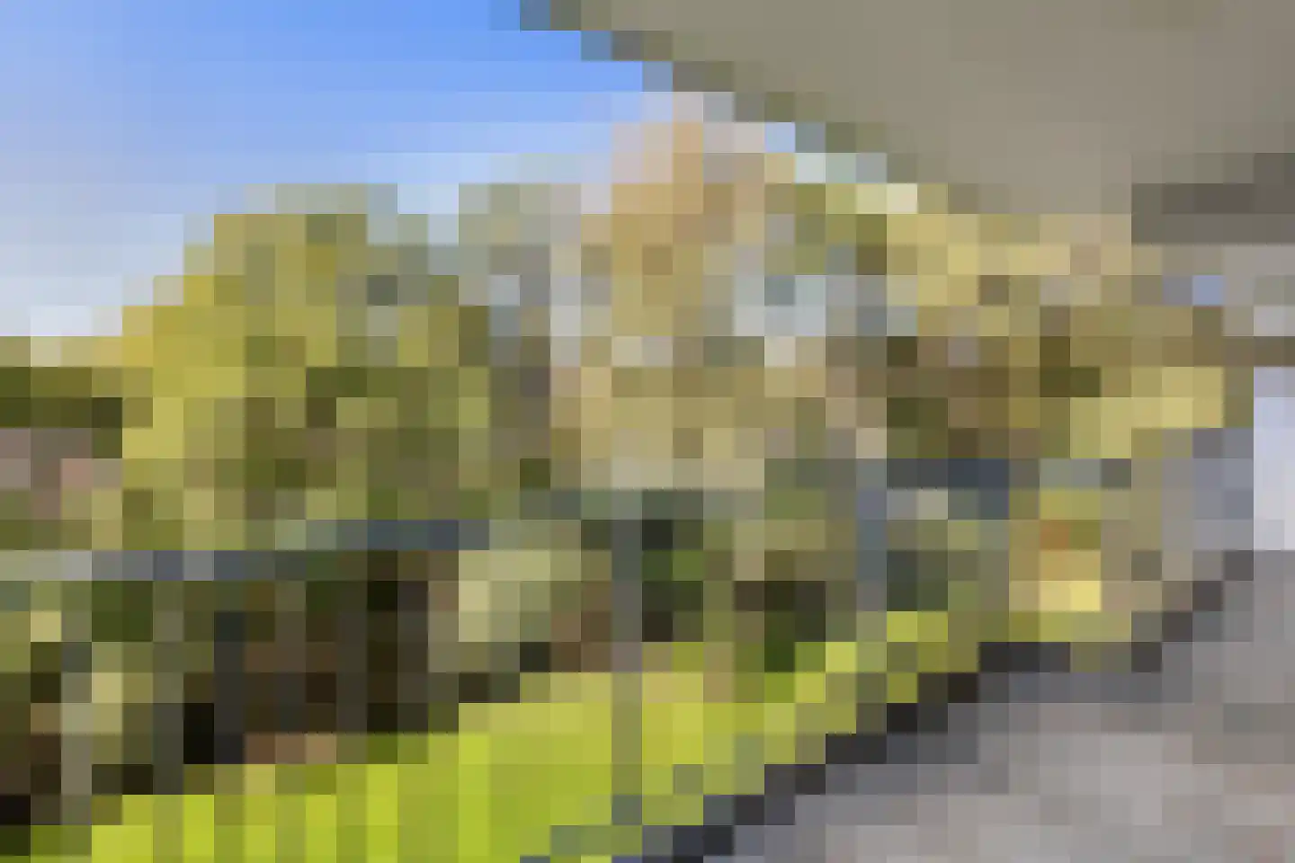 Zijldonk 57 Leiden thumbnail 39