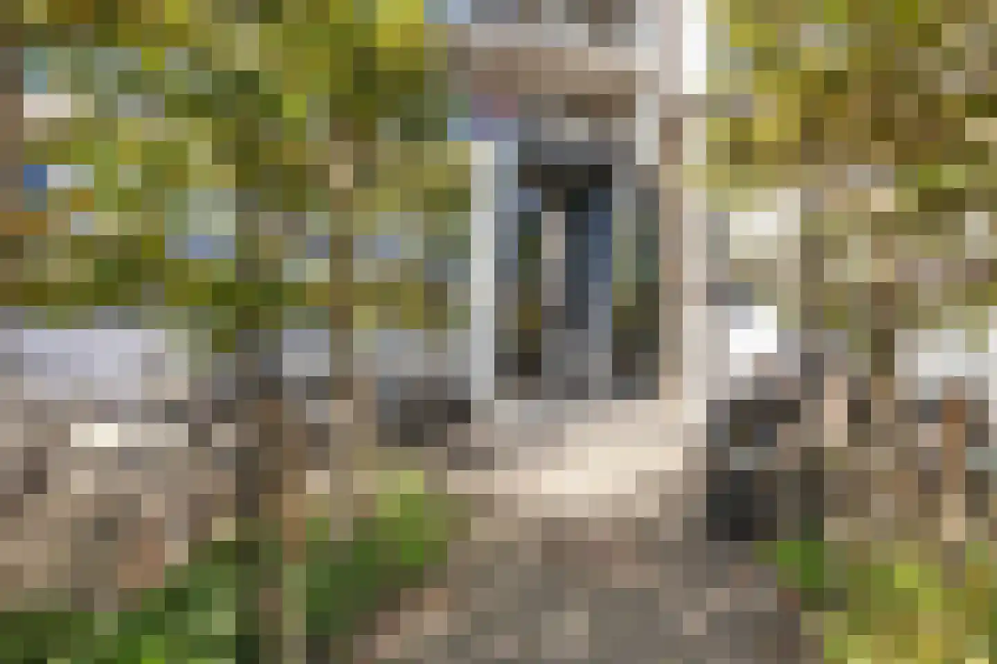 Zijldonk 57 Leiden thumbnail 9