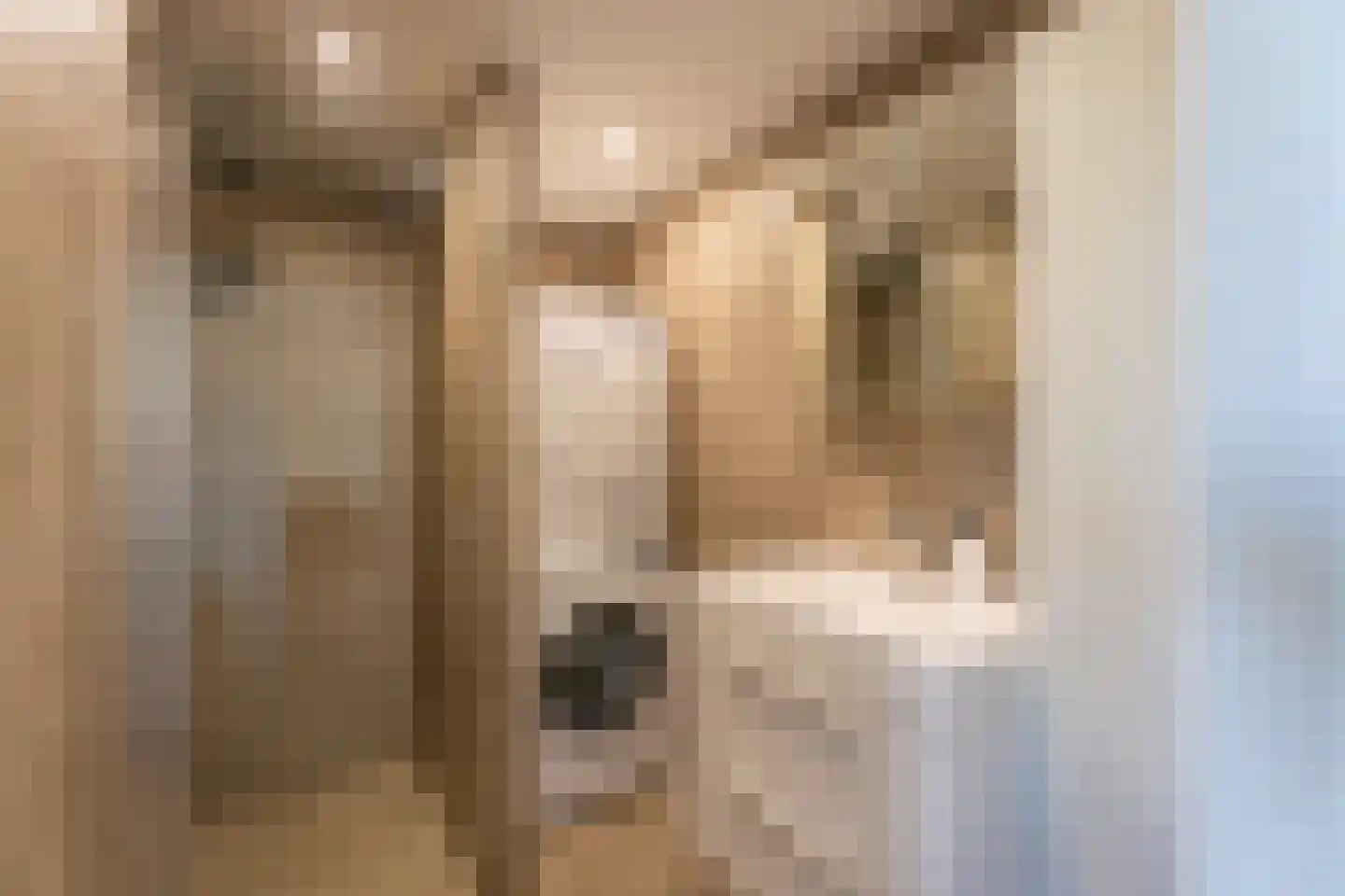 Zijldonk 73 Leiden thumbnail 13