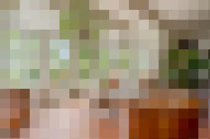 Zijlhoeklaan 7 Valkenburg thumbnail 13