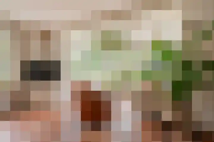 Zijlhoeklaan 7 Valkenburg thumbnail 14