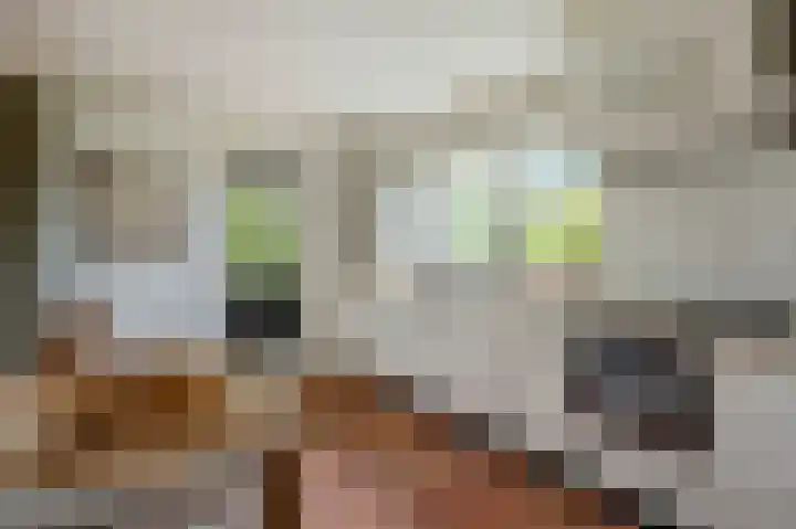 Zijlhoeklaan 7 Valkenburg thumbnail 18