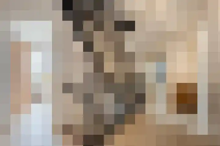 Zijlhoeklaan 7 Valkenburg thumbnail 28