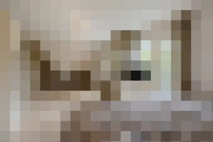 Zijlhoeklaan 7 Valkenburg thumbnail 33