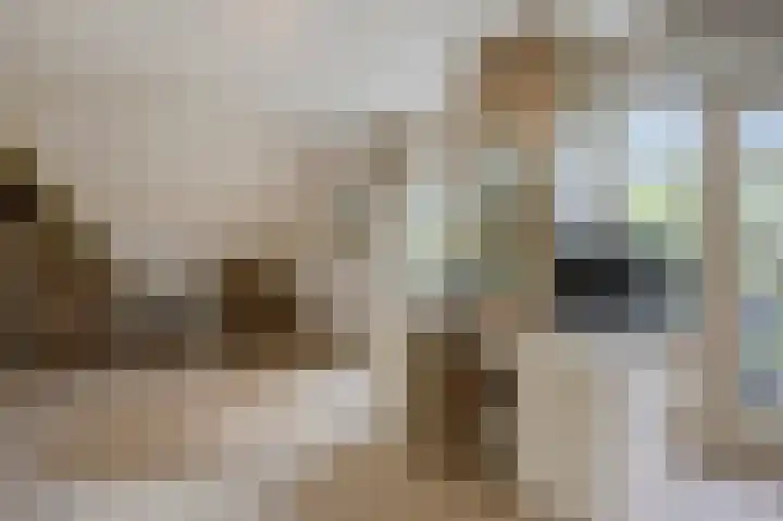 Zijlhoeklaan 7 Valkenburg thumbnail 34