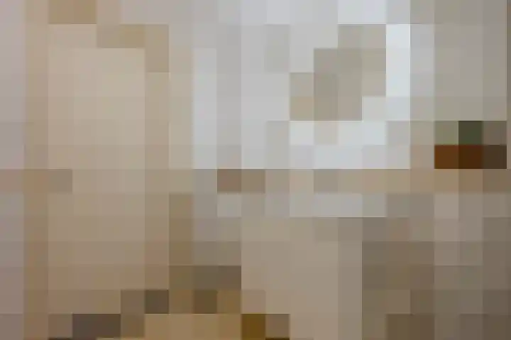 Zijlhoeklaan 7 Valkenburg thumbnail 46