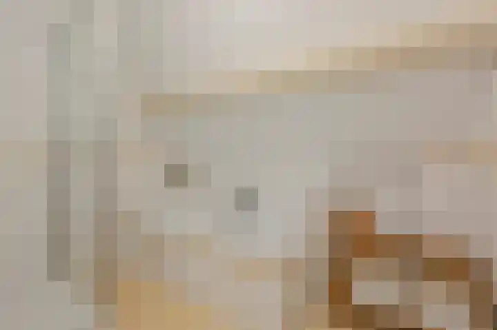 Zijlhoeklaan 7 Valkenburg thumbnail 47