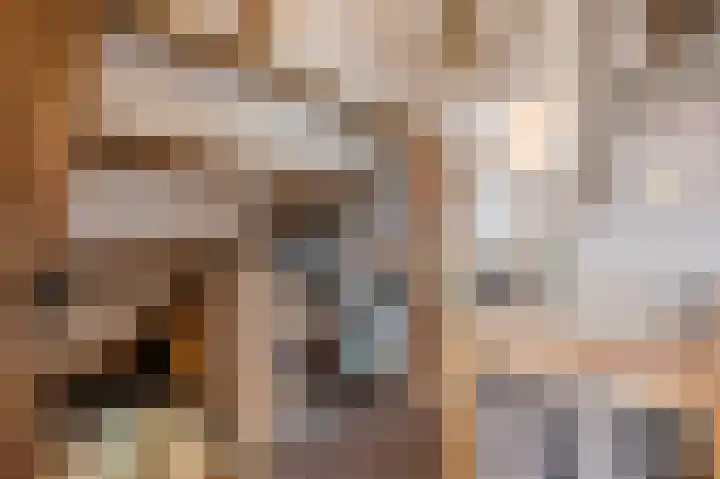 Zijlhoeklaan 7 Valkenburg thumbnail 48