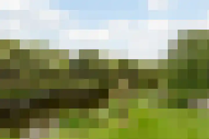 Zijlhoeklaan 7 Valkenburg thumbnail 56