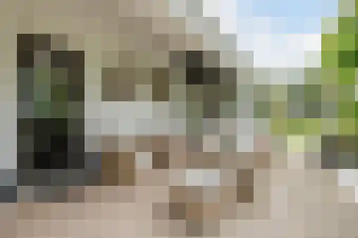 Zijlhoeklaan 7 Valkenburg thumbnail 57