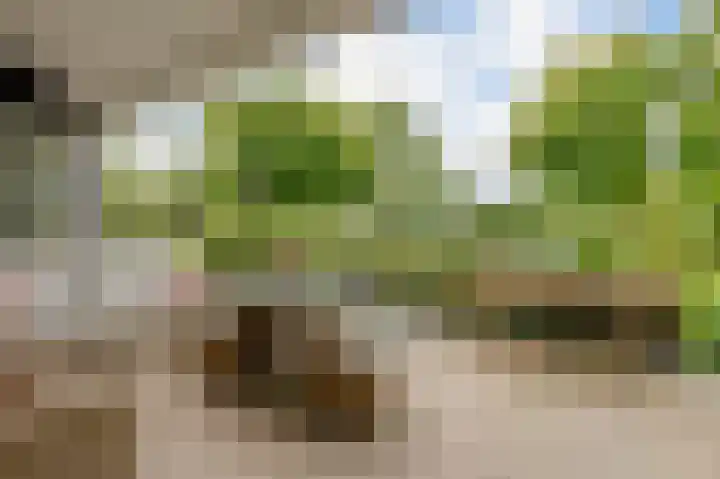 Zijlhoeklaan 7 Valkenburg thumbnail 58