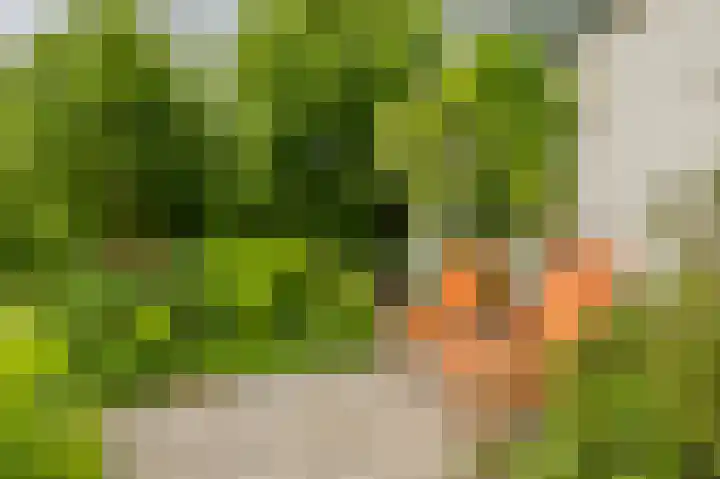 Zijlhoeklaan 7 Valkenburg thumbnail 61