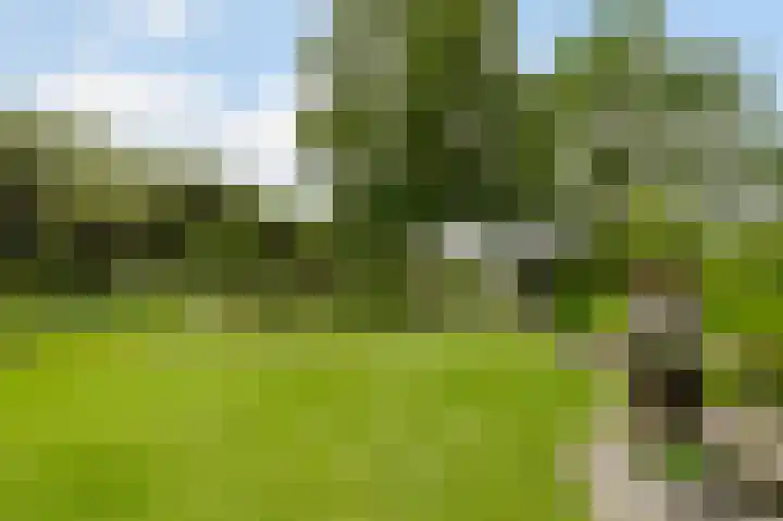 Zijlhoeklaan 7 Valkenburg thumbnail 66
