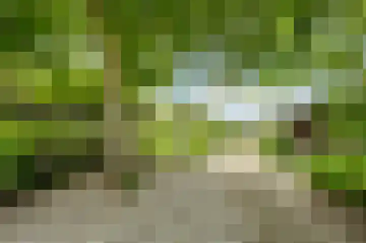 Zijlhoeklaan 7 Valkenburg thumbnail 67