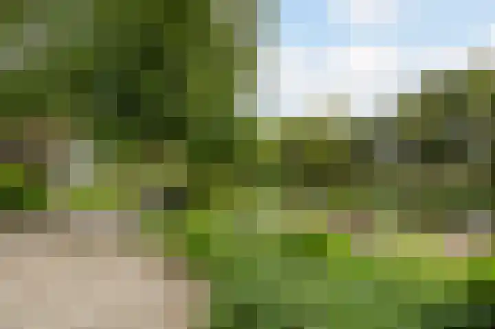Zijlhoeklaan 7 Valkenburg thumbnail 68