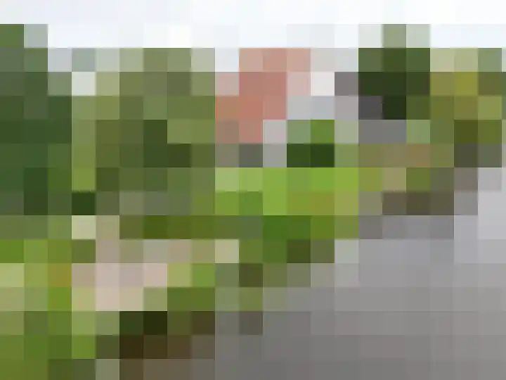 Zijlhoeklaan 7 Valkenburg thumbnail 70