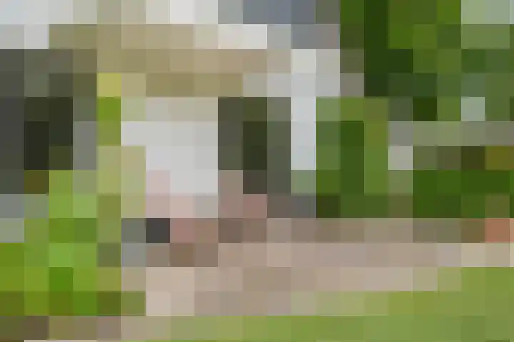 Zijlhoeklaan 7 Valkenburg thumbnail 71