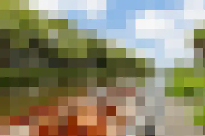 Zijlhoeklaan 7 Valkenburg thumbnail 76