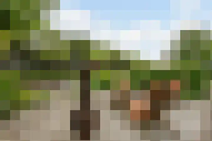 Zijlhoeklaan 7 Valkenburg thumbnail 79