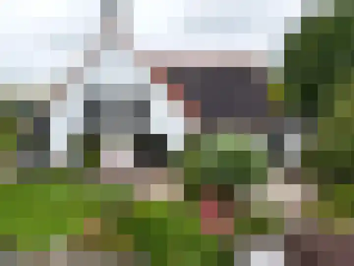 Zijlhoeklaan 7 Valkenburg thumbnail 80