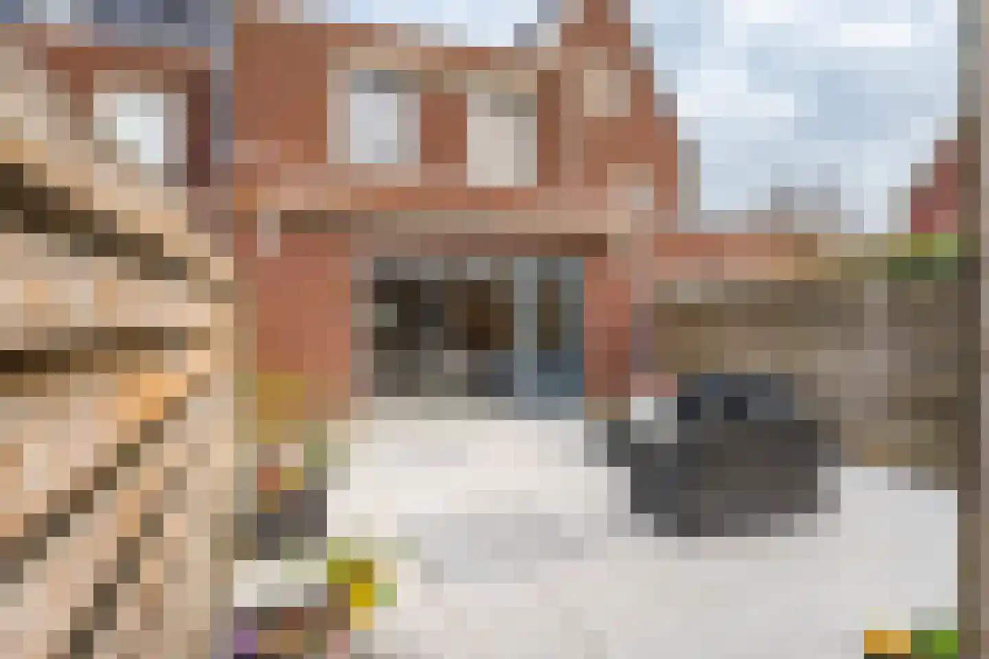 Zijlijnstraat 16 Kudelstaart thumbnail 20