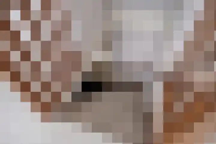 Zijlkade 14 Nieuwland thumbnail 31