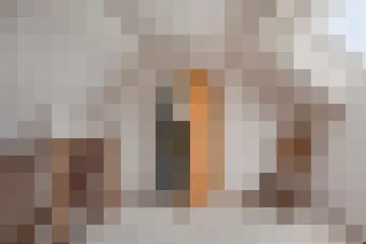 Zijlkade 14 Nieuwland thumbnail 32