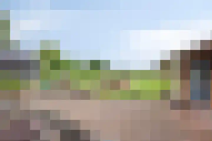 Zijlkade 14 Nieuwland thumbnail 40