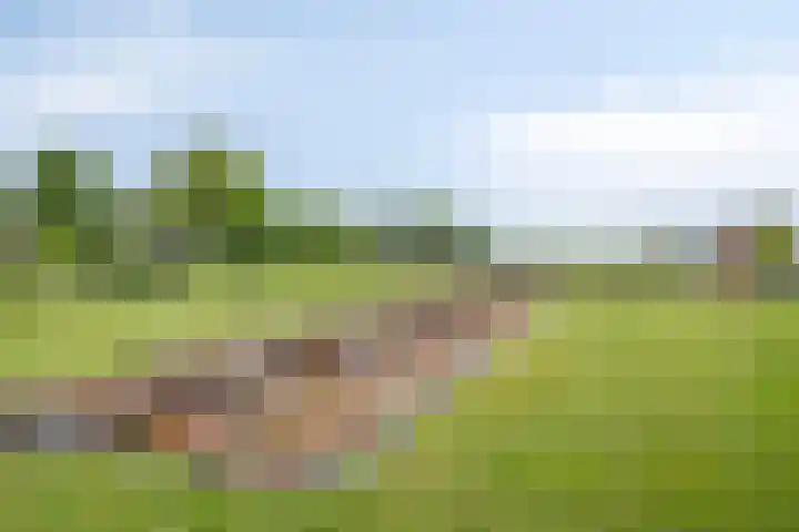 Zijlkade 14 Nieuwland thumbnail 41