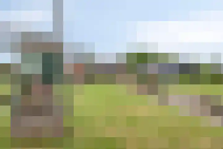 Zijlkade 14 Nieuwland thumbnail 43