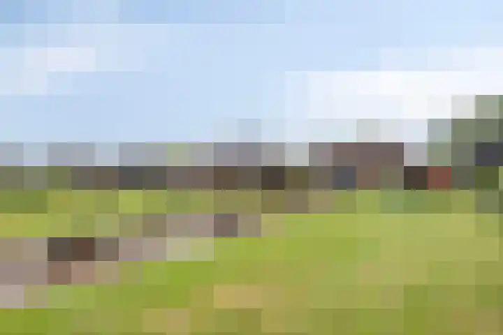 Zijlkade 14 Nieuwland thumbnail 44