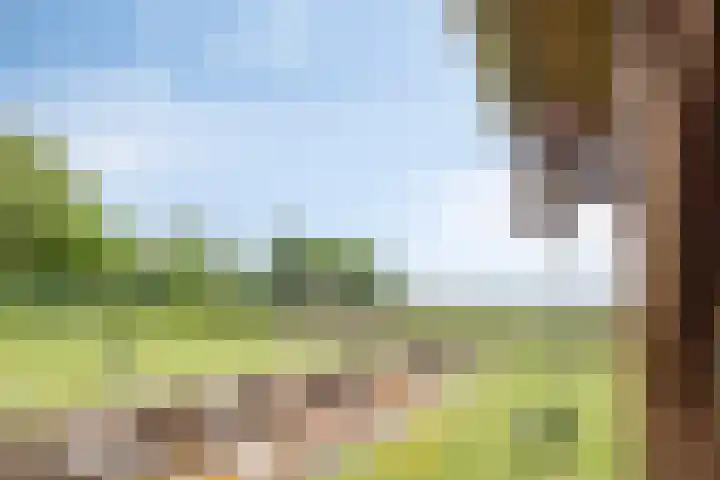Zijlkade 14 Nieuwland thumbnail 51