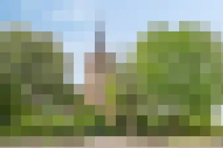 Zijlkade 14 Nieuwland thumbnail 55