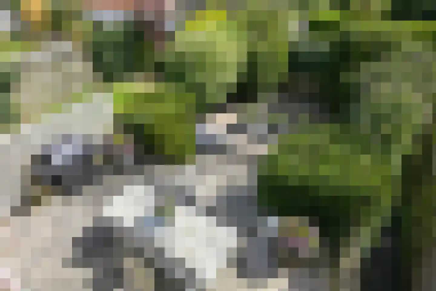 Zijllaan 14 Wassenaar thumbnail 17