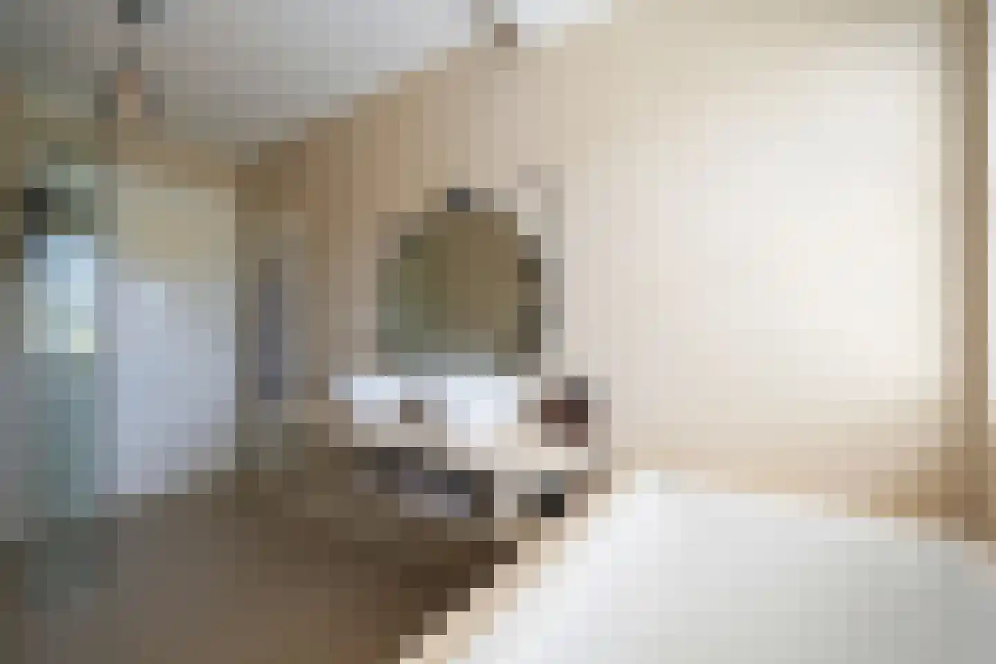 Zijllaan 14 Wassenaar thumbnail 19