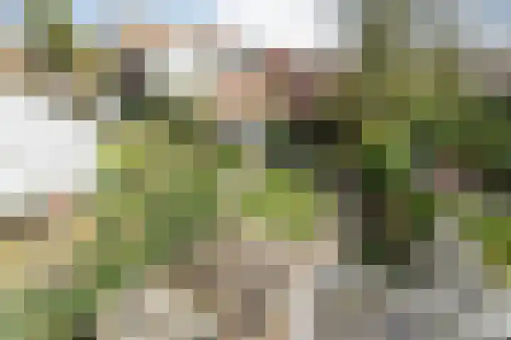 Zijllaan 16 Wassenaar thumbnail 28