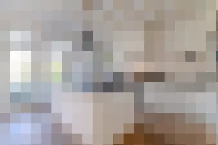Zijllaan 19 Wassenaar thumbnail 10