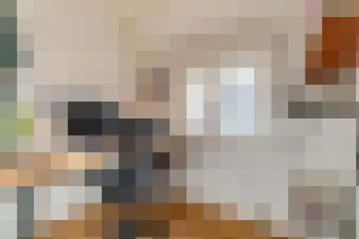 Zijllaan 19 Wassenaar thumbnail 21