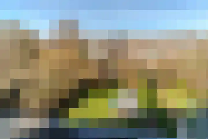 Zijllaan 19 Wassenaar thumbnail 26