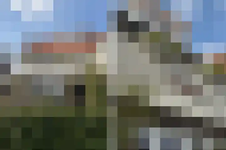 Zijllaan 19 Wassenaar thumbnail 28