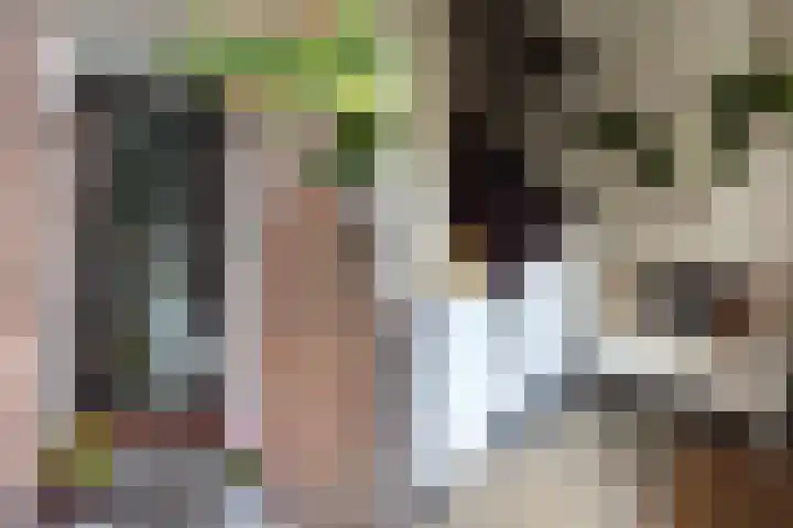 Zijllaan 19 Wassenaar thumbnail 5