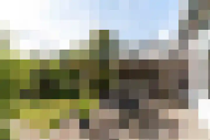 Zijllaan 20 Wassenaar thumbnail 12