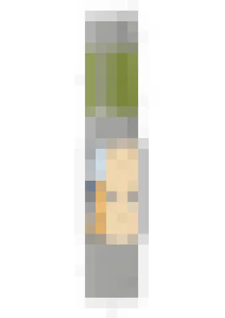 Zijllaan 20 Wassenaar thumbnail 34