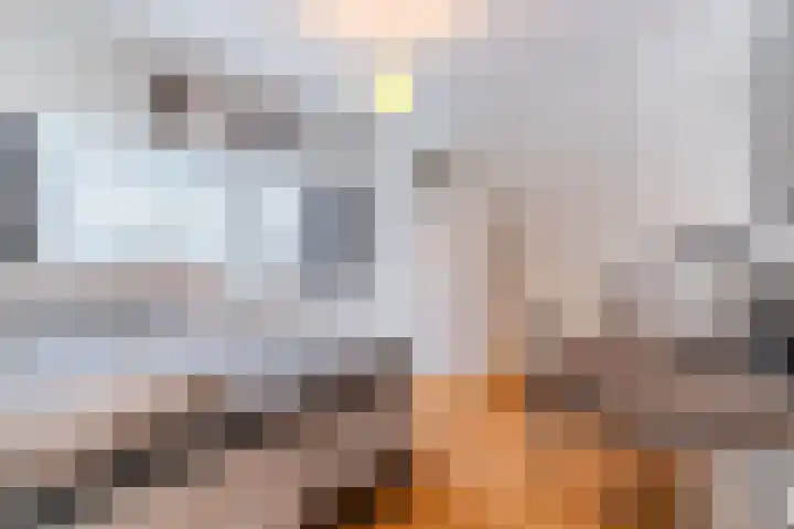 Zijllaan 22 Wassenaar thumbnail 13
