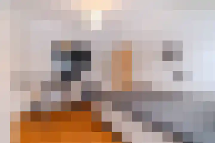 Zijllaan 22 Wassenaar thumbnail 14