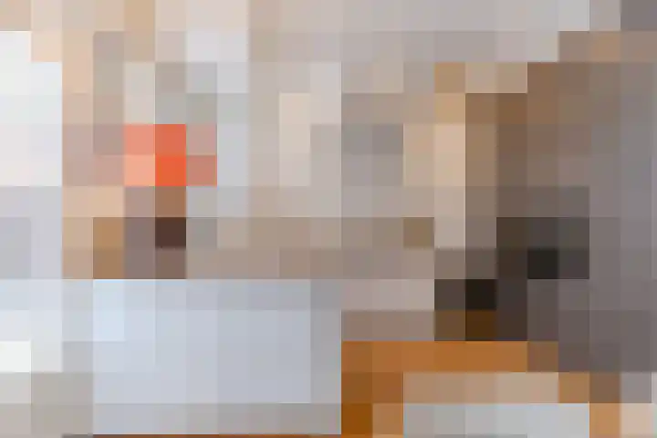 Zijllaan 22 Wassenaar thumbnail 9