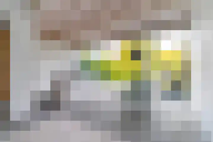 Zijllaan 27 Wassenaar thumbnail 11