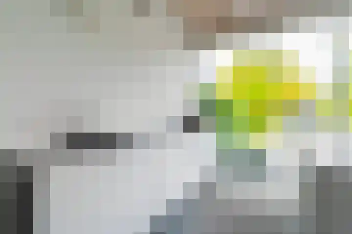 Zijllaan 27 Wassenaar thumbnail 13