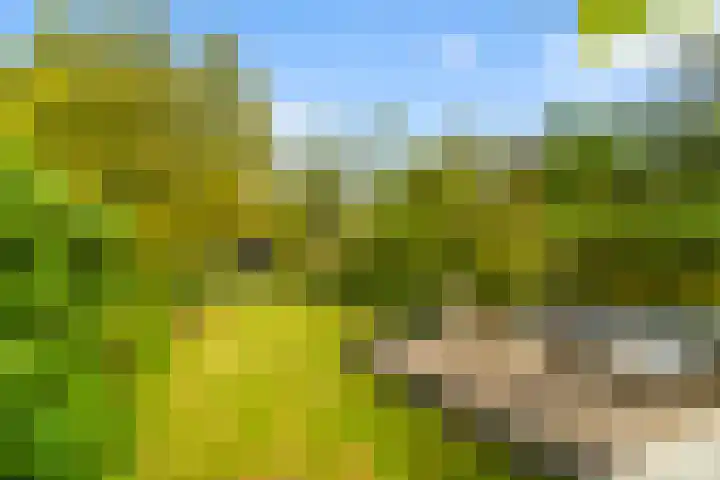 Zijllaan 27 Wassenaar thumbnail 14